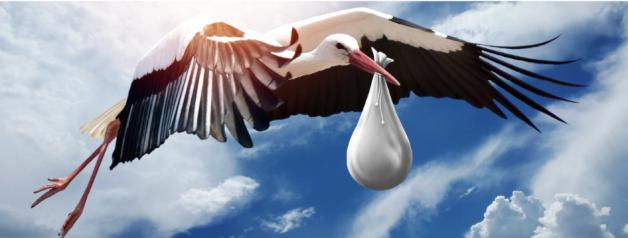 Dlaczego kobiety w Polsce nie chcą zachodzić w ciążę?