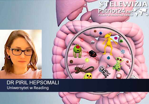 [VIDEO] Zła dieta może powodować obniżenie nastroju i zdolności poznawczych. Naukowcy potwierdzają związek żywienia z neurochemią