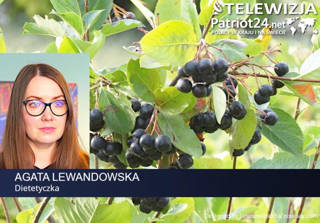 [VIDEO] Przybywa konsumentów aronii. Mimo właściwości prozdrowotnych wciąż jest jednak za mało doceniana